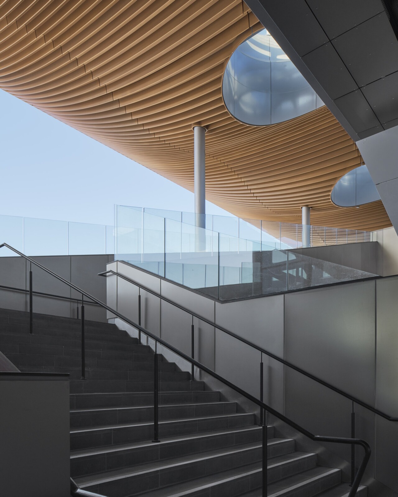 Pakenham Station canopy and stairway – sculptural timber-lined ceiling and vertical circulation by leading rail architects in Australia.